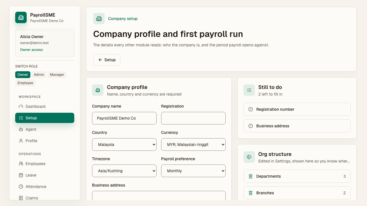 Company setup holds the profile details every module reads, plus org structure counts