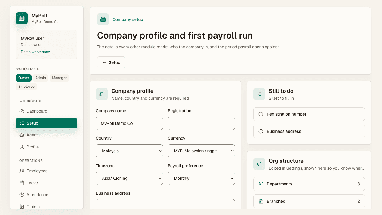 Company setup holds the profile details every module reads, plus org structure counts